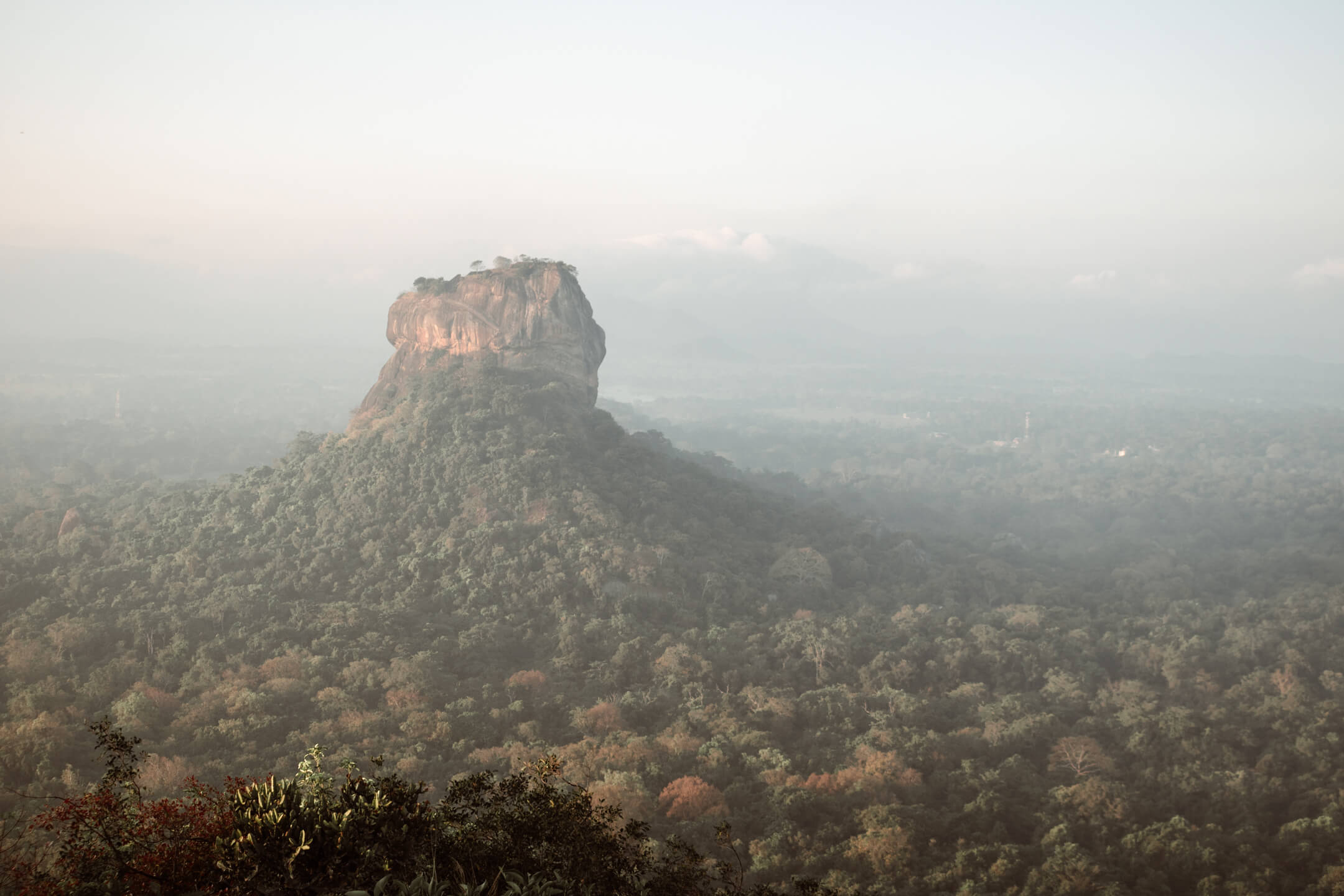 Climbing Pidurangala Rock In Sigiriya (The Best View In Sri Lanka)