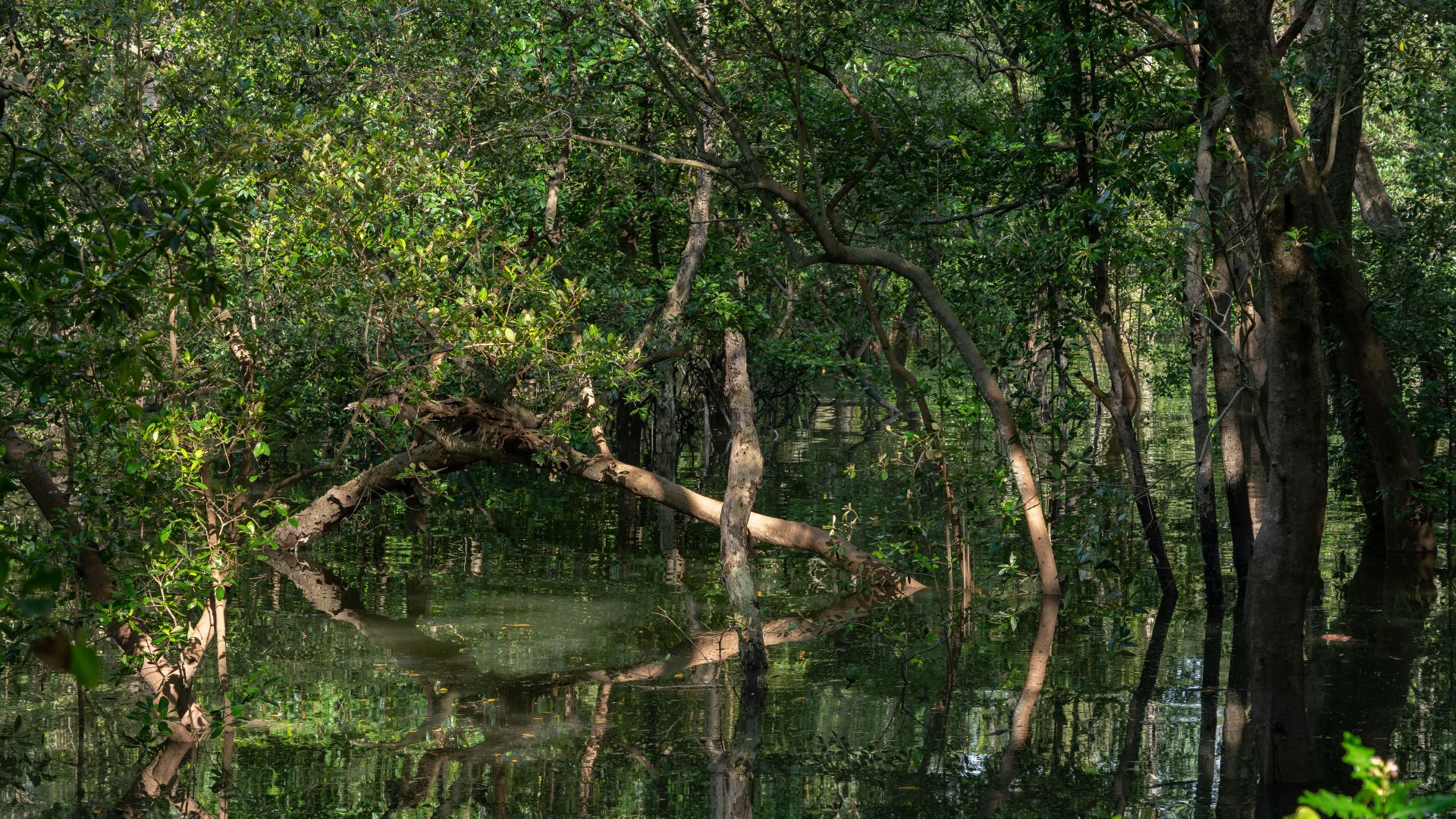 The Best Places To See Wildlife In Singapore