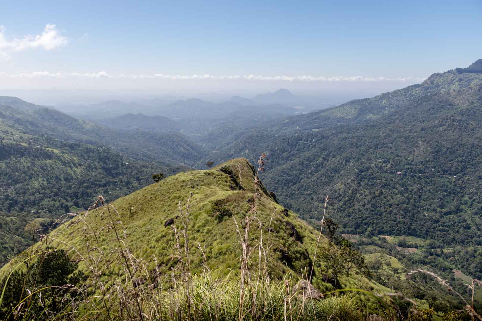 The 22 Best Things To Do In Ella, Sri Lanka